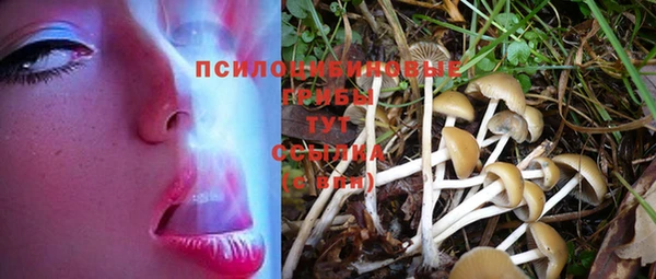 кокаин Алексин