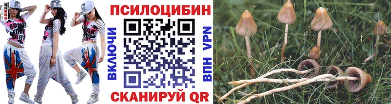 закладки  Старый Оскол  Псилоцибиновые грибы ЛСД 